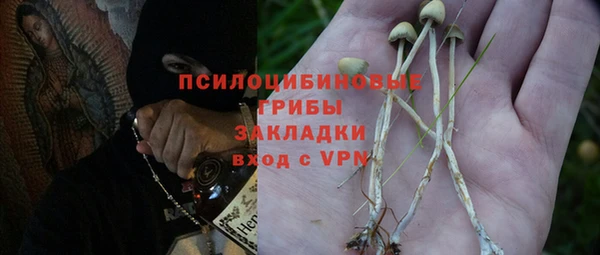 ешки Алексин