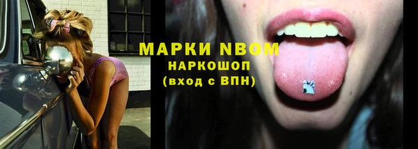 ешки Алексин