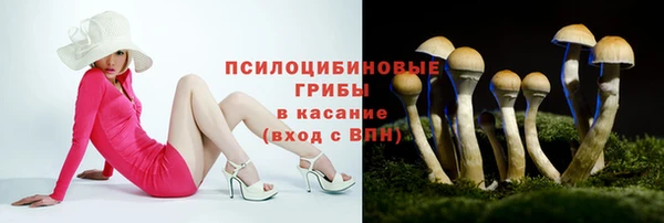 ALPHA PVP Арсеньев