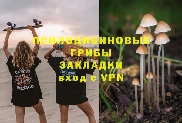 амф Абаза