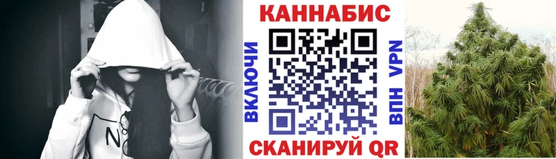 кракен   где купить   Богородск  Бошки марихуана индика 